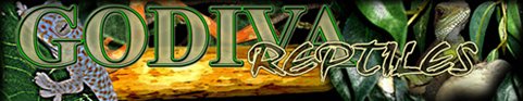 1.FRONT PAGE PREVIEW.jpg