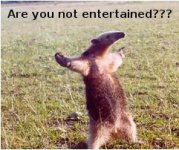 are_you_not_entertained_anteater.jpg