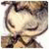 IrorneInsuddy