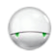 r3xkwondog