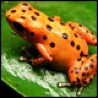 orangefrog