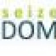 seizethedomain