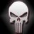the_punisher